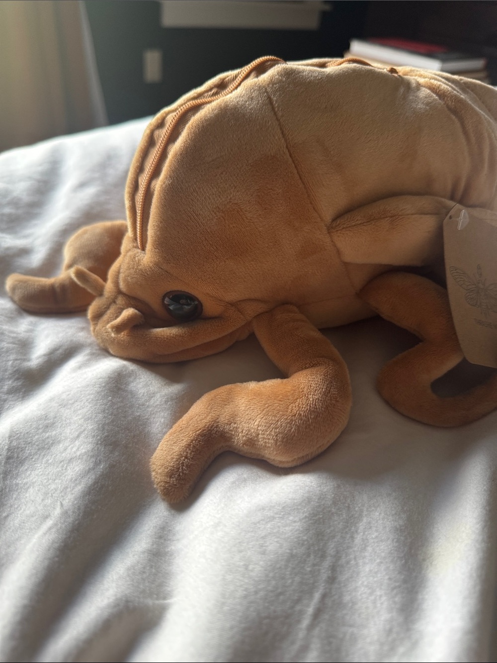 Cicada plushie - Picture 2 of 7